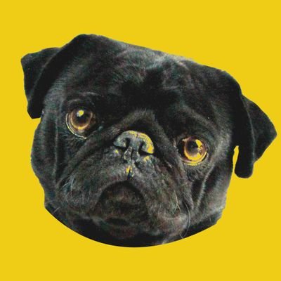 cochyserigrafia's profile picture. playeras personalizadas impresión en serigrafia dtf y sublimación. regalos personalizados.