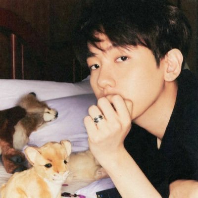 SzmataPizd1109's profile picture. idc stan exo