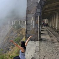 Logan Barrows (@loganbarro95821) 's Twitter Profile