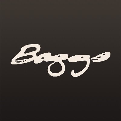 LR Baggs Profile