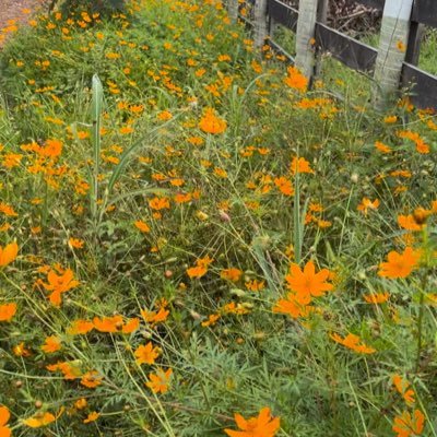 Sil90785453's profile picture. 100% dependente de Deus!!