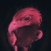 Kill Devil Productions (@killdevilprod) 's Twitter Profile Photo Kill Devil Productions (@killdevilprod) 's Twitter Profile Photo