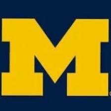 wadecons1's profile picture. Moderate with a bad attitude! University of Michigan, Detroit Lions, Tigers, LGRW!!!