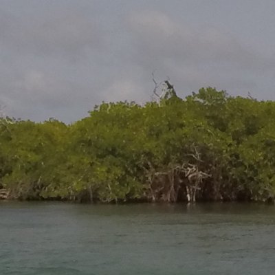 sdco76's profile picture. Actitud de servir.