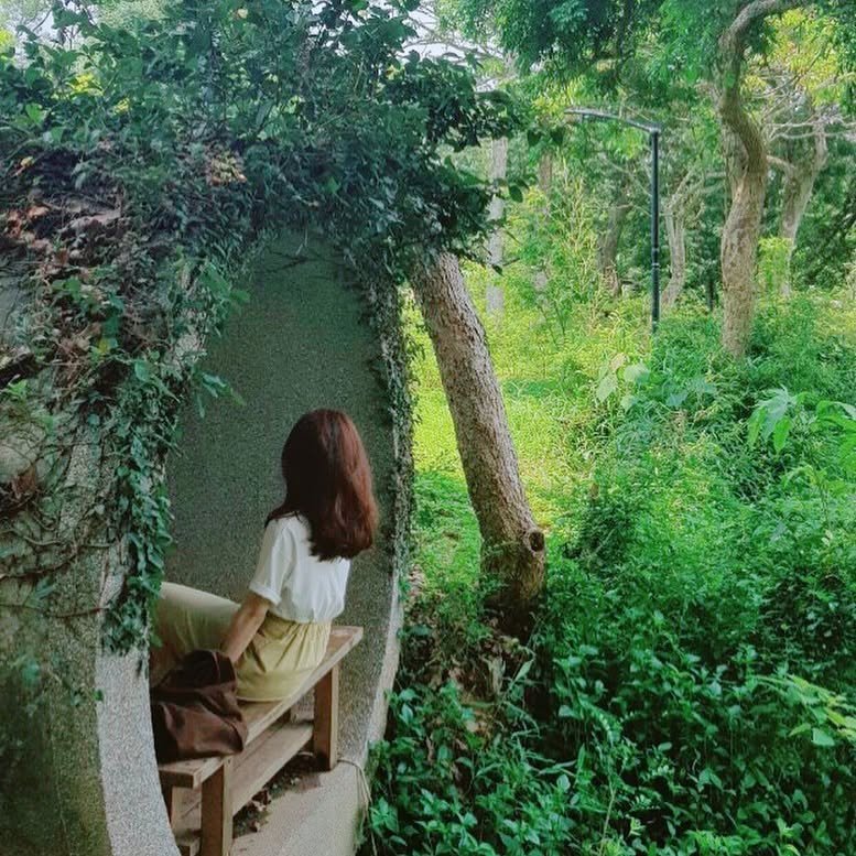 BauchLew16715's profile picture. 