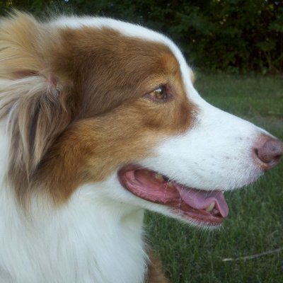 MCTompkins_'s profile picture. 