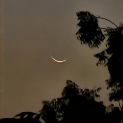 Vedansh96487673's profile picture. 
