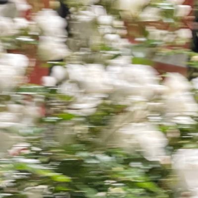 Bri460214991016's profile picture. God First