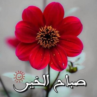 #الحديده_الان
اعلام وأخبار تهامه #الحديده #اليمن
#Yemen #البحر_الأحمر
طالبه في الجامعه