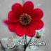 شموخ . (@yman4321) Twitter profile photo شموخ . (@yman4321) Twitter profile photo