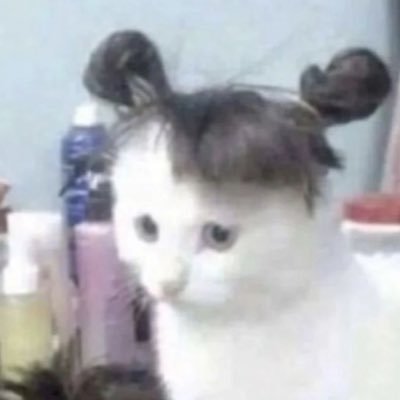 _porporrrr's profile picture. #dek69
g0al ; human - eng cmu 🤍‼️
#studywithpor