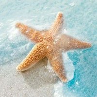 λરίĵ 🐚 (@arf_1d7) Twitter profile photo