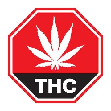 High Grade Herb | Genetic
Preservationist Owner of THC Hemp
https://t.co/N608e9KKXt
