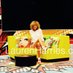 Lauren Harries (@laurenharries) Twitter profile photo Lauren Harries (@laurenharries) Twitter profile photo