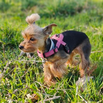 Jezie73's profile picture. France 🇫🇷