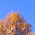 Uranchimeg Tsedev (@utsedev41502) Twitter profile photo Uranchimeg Tsedev (@utsedev41502) Twitter profile photo