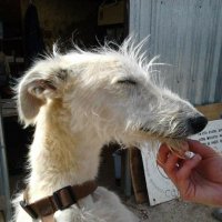 tuesday š (@tuesdaytabris) 's Twitter Profile Photo tuesday š (@tuesdaytabris) 's Twitter Profile Photo