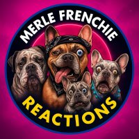The Merle Frenchies (@robyndaily16) 's Twitter Profile