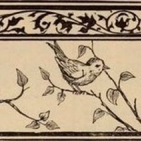 Pınar🌊 (@pnardereii) 's Twitter Profile