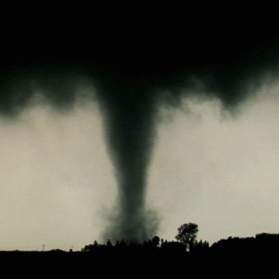 UrLocalSkunkboy's profile picture. Storm Spotter 🌪️⛈️ Age: 17