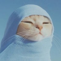 π (@kiranadeira) 's Twitter Profile Photo π (@kiranadeira) 's Twitter Profile Photo