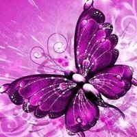 Abdulqadir (@alibi004) 's Twitter Profile