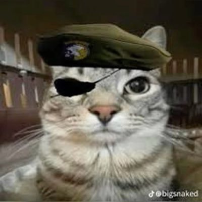 Jerome16950741's profile picture. 