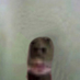 willi (@willi_osu) Twitter profile photo willi (@willi_osu) Twitter profile photo