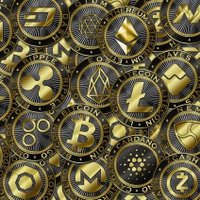 Biba (@1biba0) 's Twitter Profile