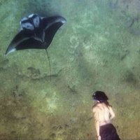 A.aron (@chasingmantine) 's Twitter Profile