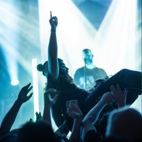 Logan, in theory (@xs0ntrees) 's Twitter Profile