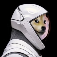 ƉOGECOIN 𝕏 POST. (@dogec01nxpost) 's Twitter Profile