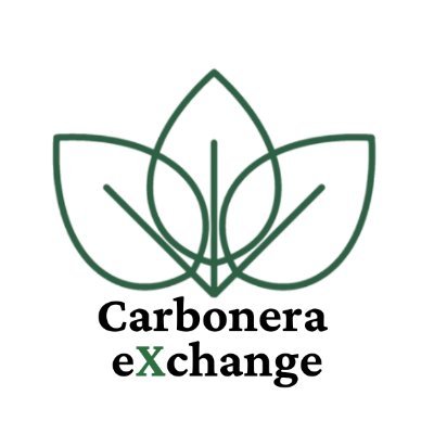 A marketplace to buy and sell carbon offsets.