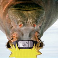 Boruto Biggest Meatrider π¦π΄ (@biggestboruto) 's Twitter Profile