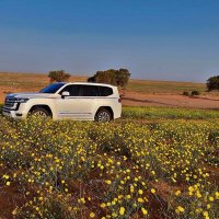 المطيري (@hooor2220) 's Twitter Profile Photo