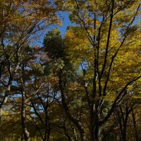 شمّا التفاق (@shammajm_) Twitter profile photo