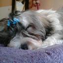 soledad soria - @sole_28_3101 - Twitter