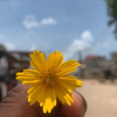 ADAM_YOHAN13's profile picture. 