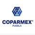 COPARMEX Puebla (@coparmexpuebla) Twitter profile photo COPARMEX Puebla (@coparmexpuebla) Twitter profile photo