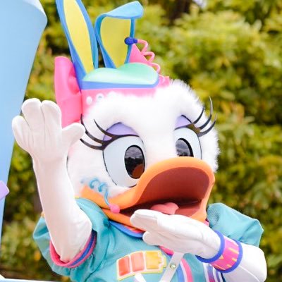 reausagi04's profile picture. デイジーちゃんとお兄さんの思い出懐古オタク🐹⭐️