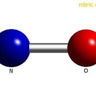 NitrogenMonixde's profile picture. 