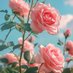 💕الحمدلله💕 (@islamiat__) Twitter profile photo 💕الحمدلله💕 (@islamiat__) Twitter profile photo
