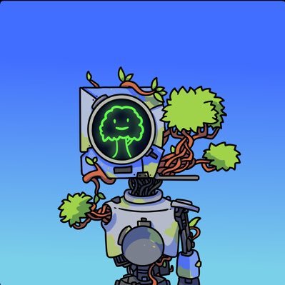 acno.algo Profile