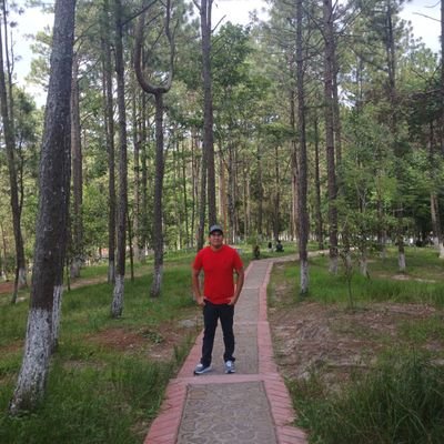 @Pedrocantilla13