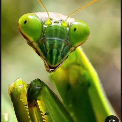 GH♡,
todo es chiste/ironia/sarcasmo, si lo tomas personal, manejate... animus iocandi, animo iocandi... 🌵🇰🇷... Renuli... y lo que LULU quiera...🫦🔫