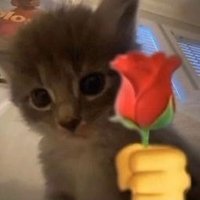 heks (@heks___) 's Twitter Profile