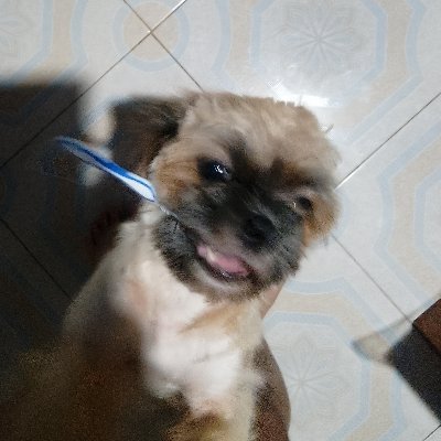 SLAYNOWW's profile picture. watch me party on u