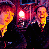 @AvrilLavigne @selenagomez @ddlovato @erickmafra @manugavassi @onedirection @MileyCyrus @joebrooksmusic Harry Potter Pretty Little Liars ...  since: 23/11/2011