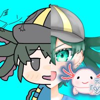 元両生類「ソーソー」☆ウパ.s (@hbmunp3) 's Twitter Profile