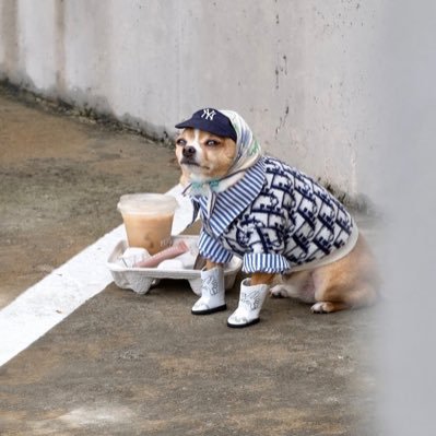 katietamola's profile picture. writer, bylines in @byshondaland @marieclaire @vice @refinery29 @elitedaily sat in a cheesecake in 2013!! love books. I probably love you. (she/her)